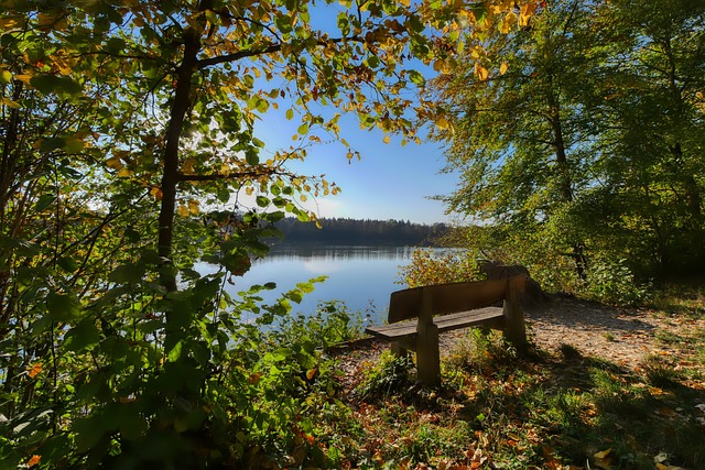 每年的奥尔 每年的奥尔