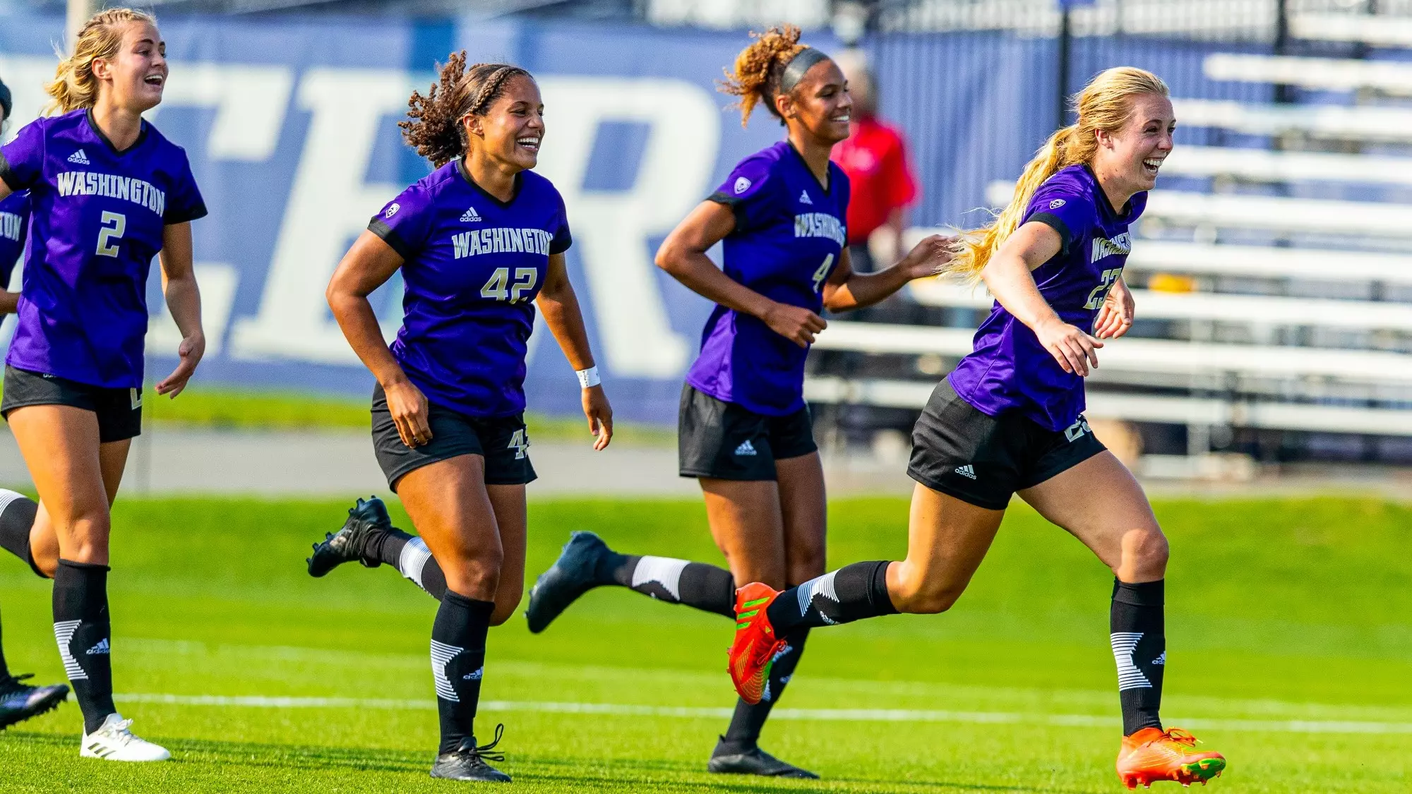 缺乏明确的 缺乏明确的